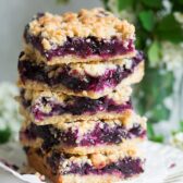 Blueberry Crumb Bars