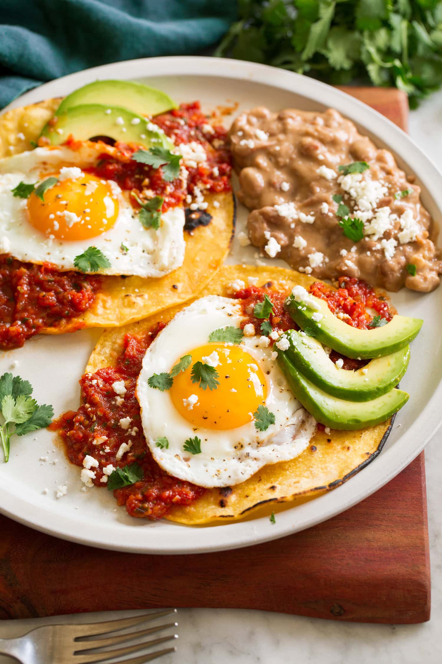 Huevos rancheros served tortillas, salsa ranchero, fried eggs, avocado, and cotija.