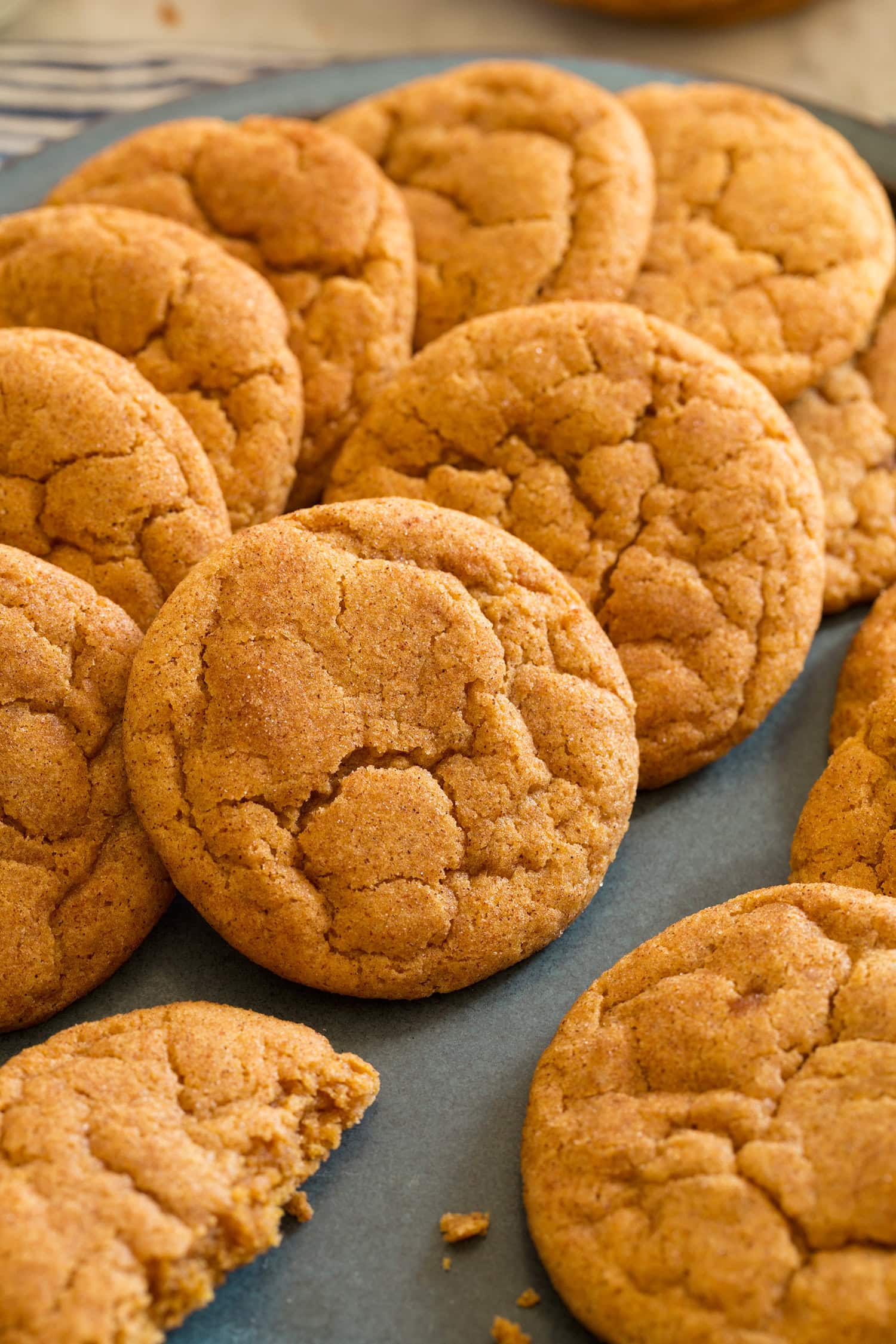 Close up photo of pumpkin snickerdoodle cookies.